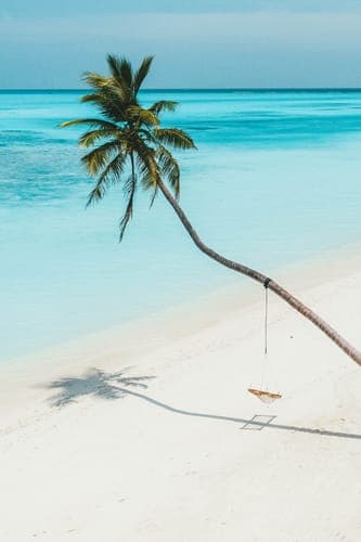 Lívia P. review image