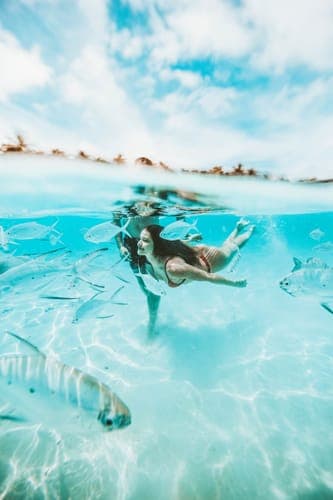 Annelise P. review image